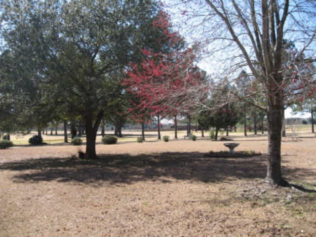 114 Lakeridge Drive Fairhope, AL 36532 - Photo 17 of 19 Back Yard