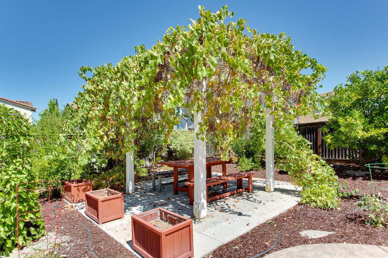 1615 Farringdon Way San Ramon, CA 94582 - Photo 15 of 18 a view of a patio with chairs and potted plants