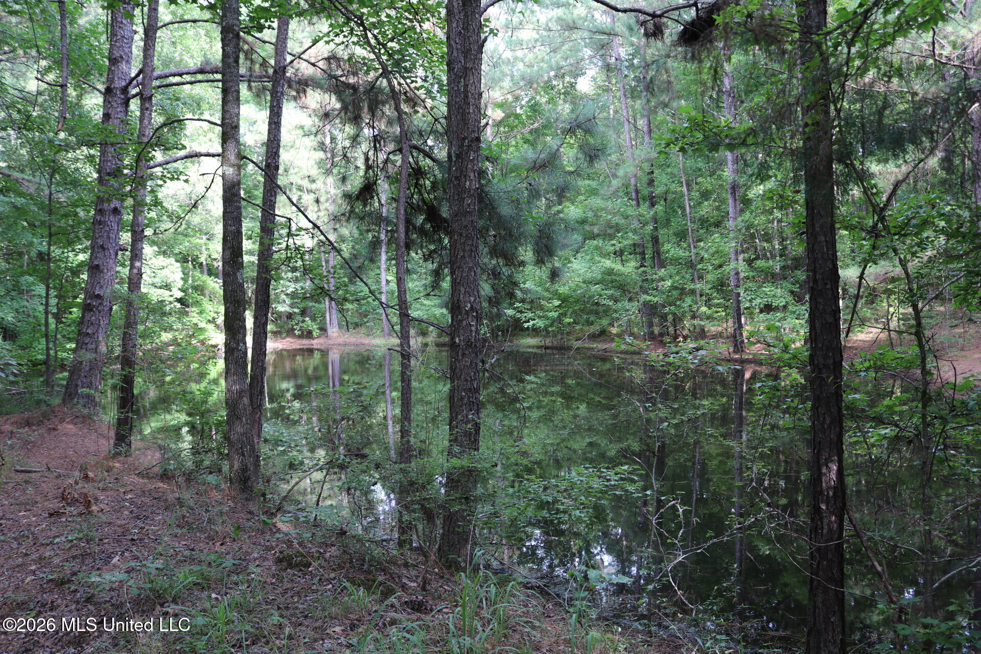 2026 Stump Bridge Road Camden, MS 39045 - Photo 14 of 18 IMG_5704