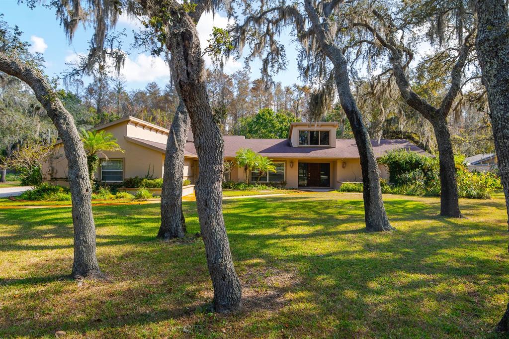 10206 Lakeview Drive New Port Richey, FL 34654 - Photo 2 of 53 a backyard of a house with swimming pool