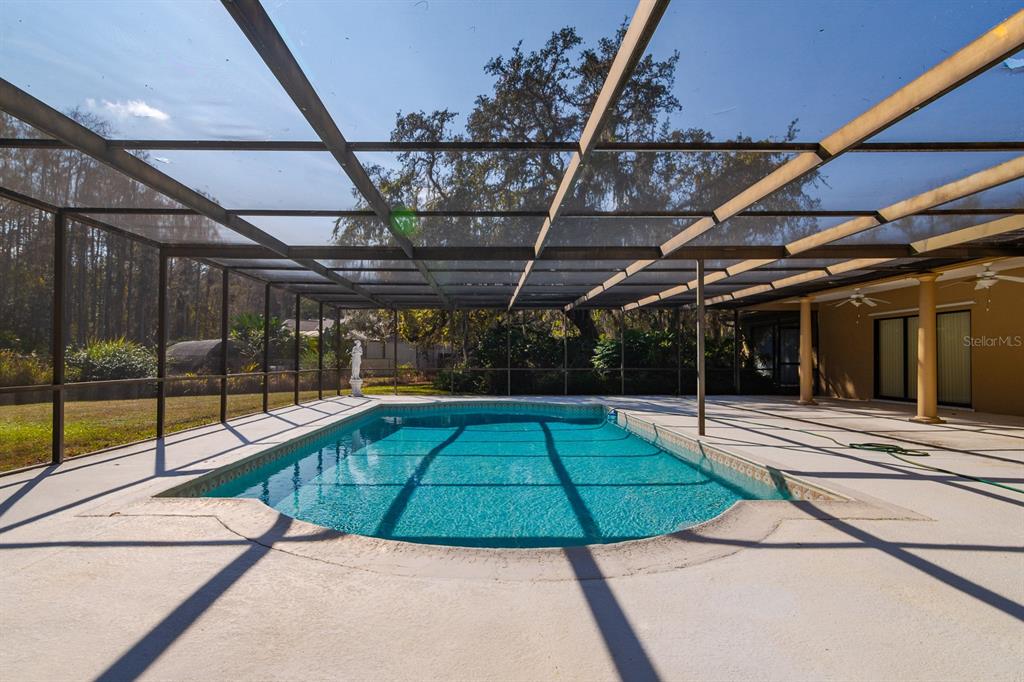 10206 Lakeview Drive New Port Richey, FL 34654 - Photo 36 of 53 a view of a backyard of a house