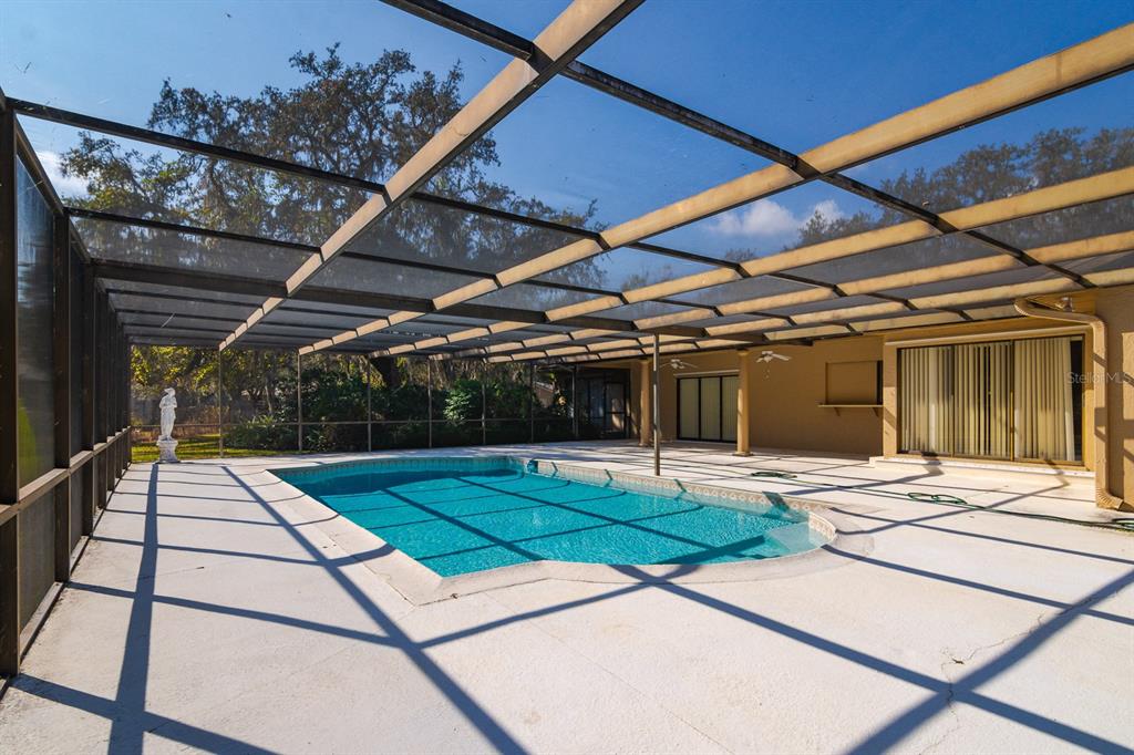 10206 Lakeview Drive New Port Richey, FL 34654 - Photo 38 of 53 a house with trees in front of it