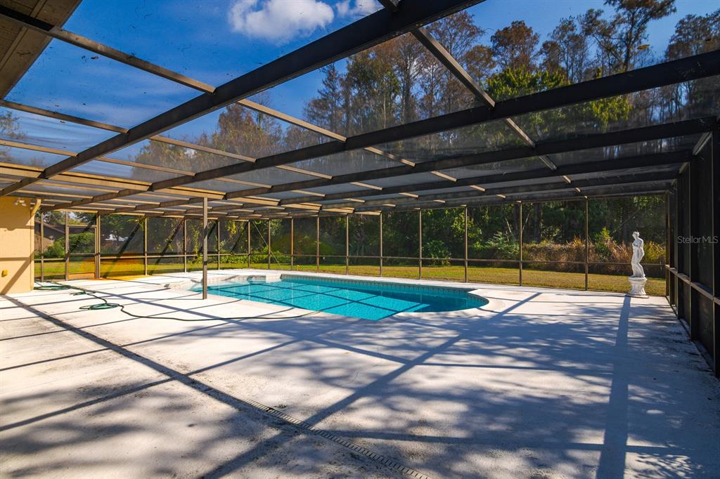 10206 Lakeview Drive New Port Richey, FL 34654 - Photo 43 of 53 a view of swimming pool