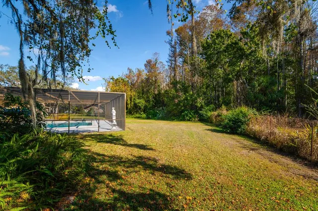 a view of a swimming pool and trees in the background