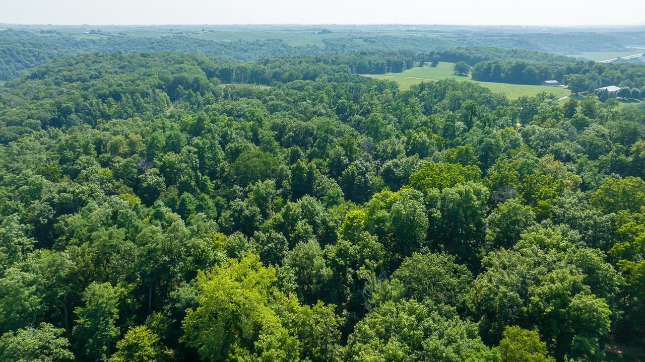 6-acres Airport Road Platteville, WI 53818 - Photo 11 of 11 Gallery Image 11