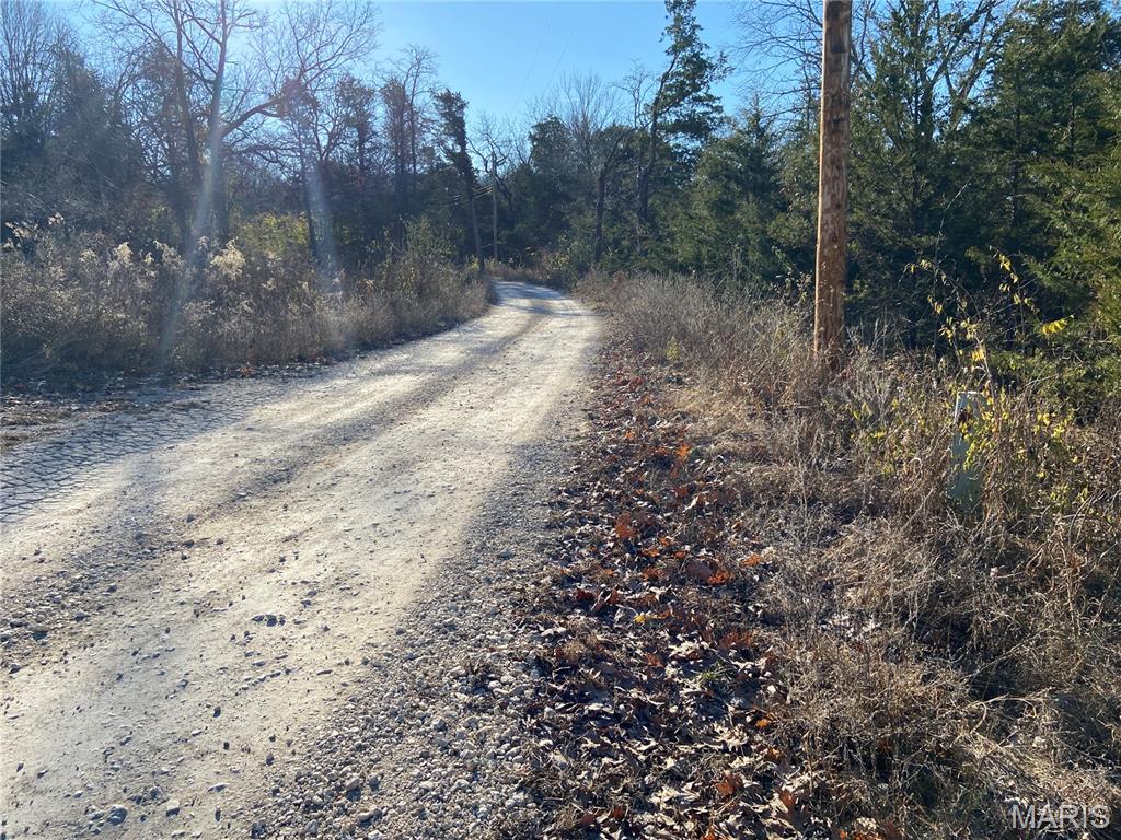 0 Riverside Drive Hillsboro, MO 63050 - Photo 4 of 5