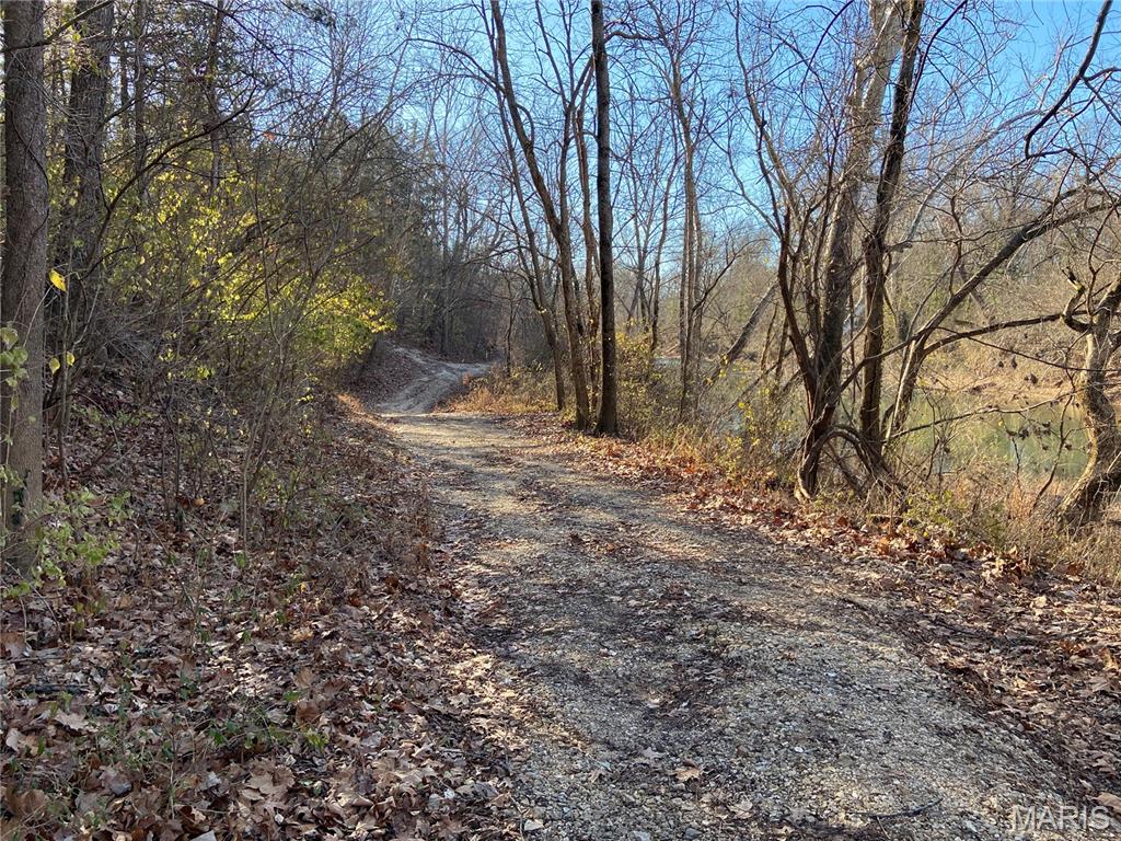 0 Riverside Drive Hillsboro, MO 63050 - Photo 5 of 5