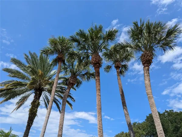 $1,250 | 1964 Lake Atriums Circle, Unit 162, Orlando, FL 32839