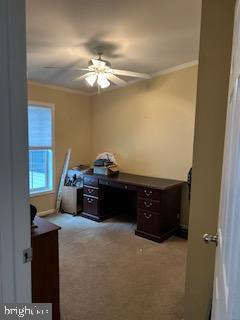 191 Boxwood Road Manchester, PA 17345 - Photo 22 of 24 Bedroom/office
