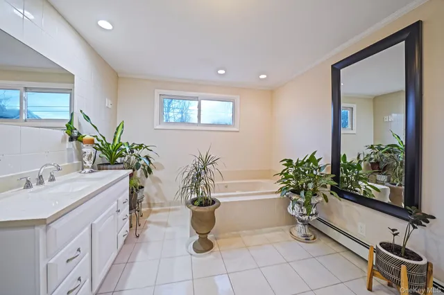 a bathroom with a potted plant and a sink