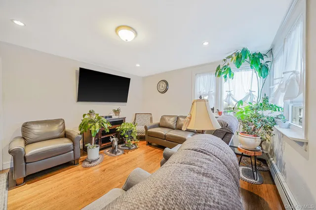 a living room with furniture potted plant and a flat screen tv