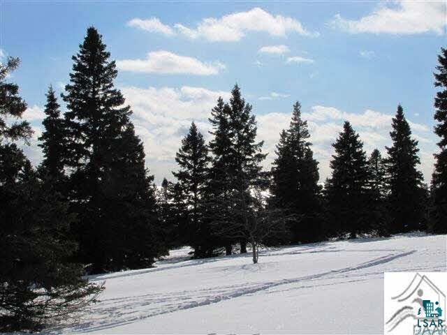 Lot 1 Chester Boulevard Tofte, MN 55615 - Photo 12 of 24