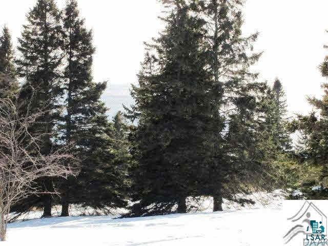 Lot 1 Chester Boulevard Tofte, MN 55615 - Photo 13 of 24