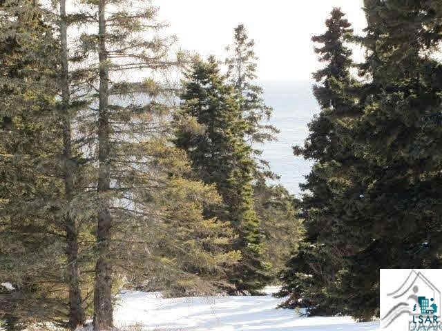 Lot 1 Chester Boulevard Tofte, MN 55615 - Photo 17 of 24