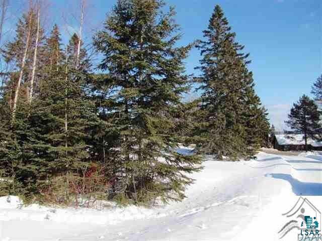 Lot 1 Chester Boulevard Tofte, MN 55615 - Photo 19 of 24