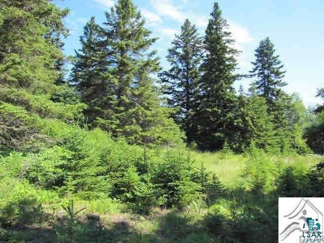 Lot 1 Chester Boulevard Tofte, MN 55615 - Photo 2 of 24
