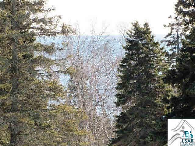 Lot 1 Chester Boulevard Tofte, MN 55615 - Photo 21 of 24