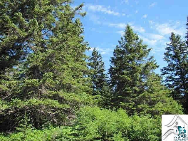 Lot 1 Chester Boulevard Tofte, MN 55615 - Photo 3 of 24