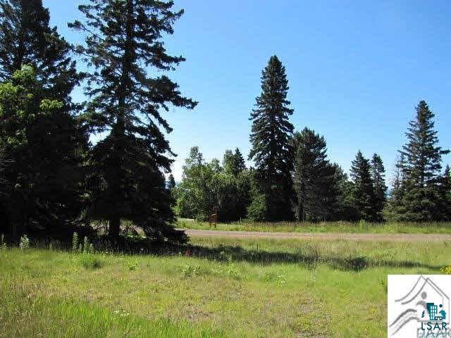 Lot 1 Chester Boulevard Tofte, MN 55615 - Photo 4 of 24