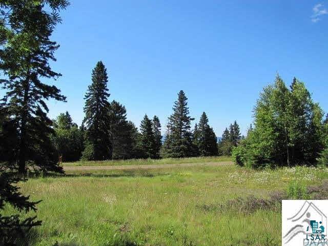 Lot 1 Chester Boulevard Tofte, MN 55615 - Photo 5 of 24