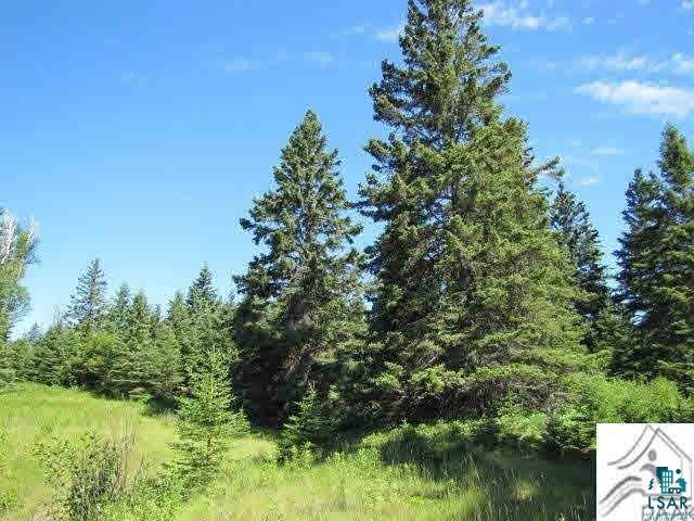 Lot 1 Chester Boulevard Tofte, MN 55615 - Photo 6 of 24