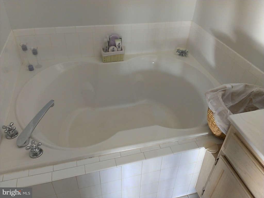 4236 Maple Path Circle, Unit 23 Baltimore, MD 21236 - Photo 29 of 30 Bath (Master)