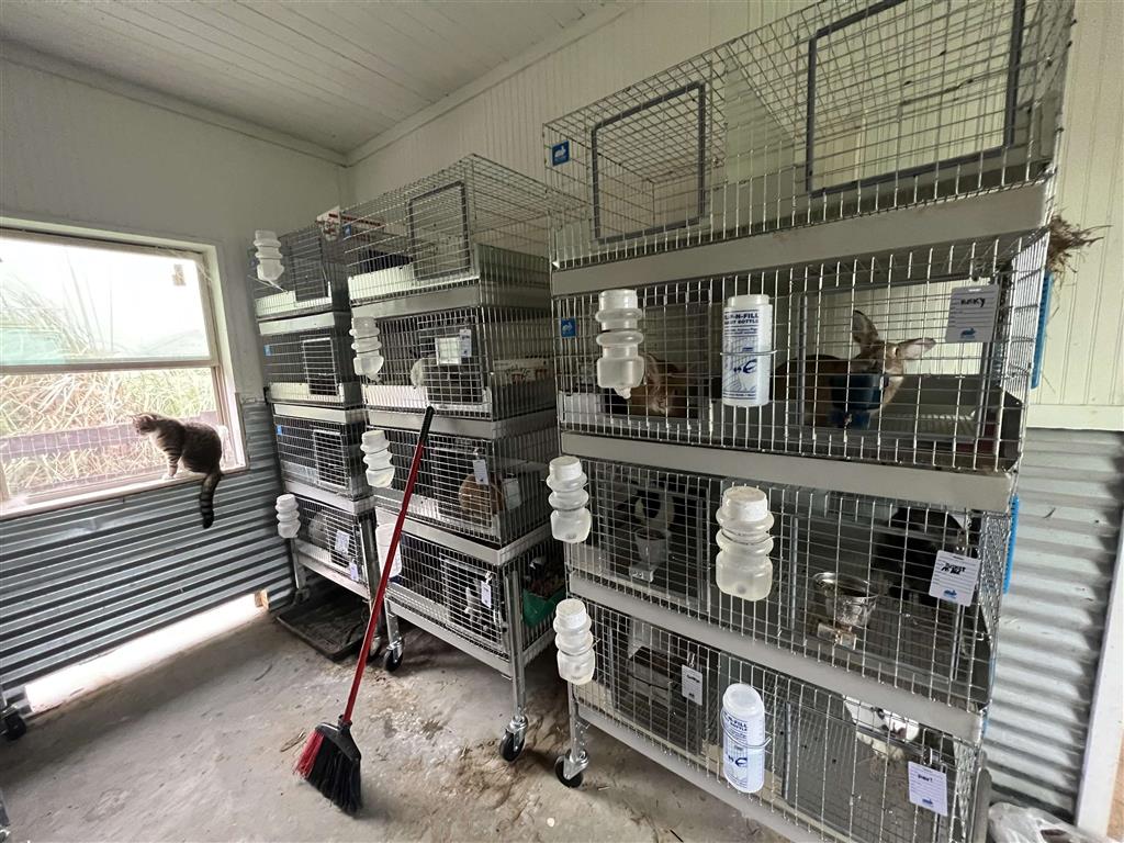11480 Blanchard Road Welsh, LA 70591 - Photo 44 of 48 Large room presently used for rabbits
