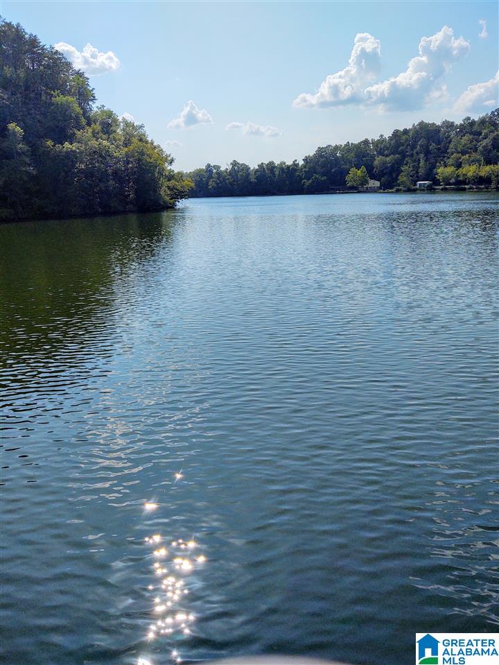 591 Henderson Camp Road Adger, AL 35006 - Photo 19 of 40