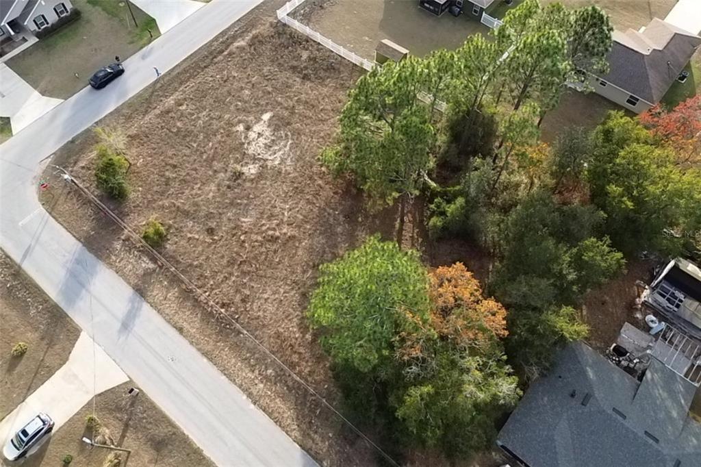 0 Southeast 159th Street Summerfield, FL 34491 - Photo 12 of 22 a view of a garden with plants