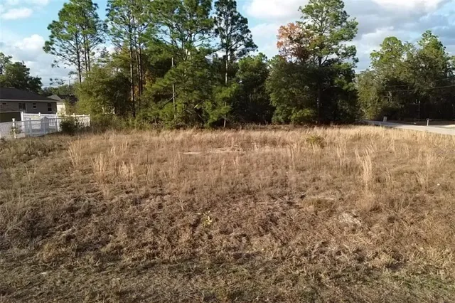 a view of a covered with snow