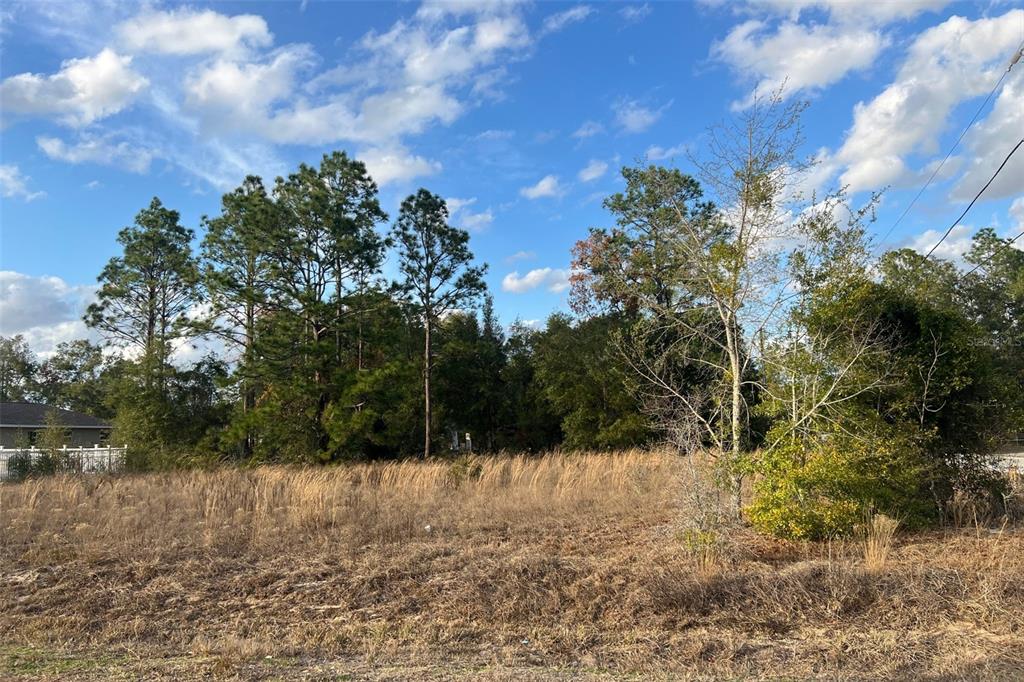 0 Southeast 159th Street Summerfield, FL 34491 - Photo 16 of 22 a view of a yard