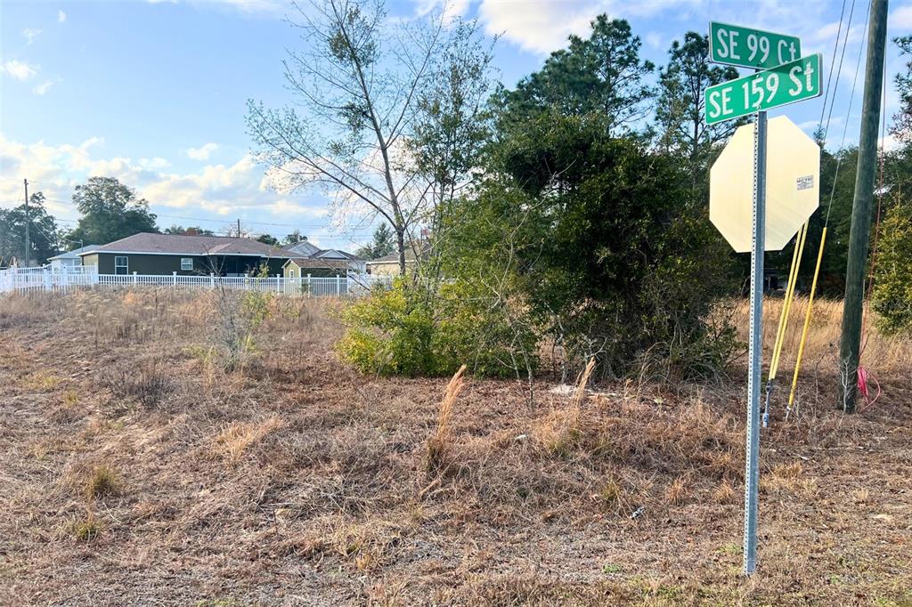 0 Southeast 159th Street Summerfield, FL 34491 - Photo 19 of 22 a view of a house with a backyard