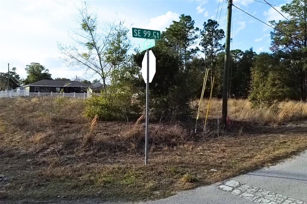 0 Southeast 159th Street Summerfield, FL 34491 - Photo 20 of 22 a backyard of a house with lots of green space