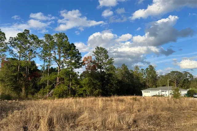 a view of a yard covered in snow