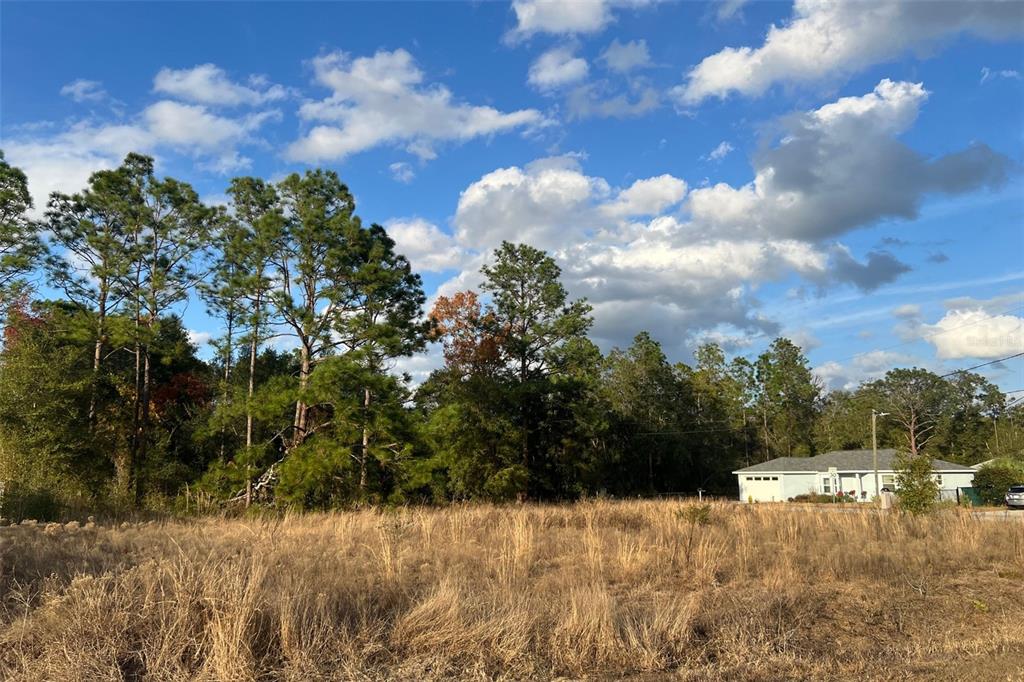 0 Southeast 159th Street Summerfield, FL 34491 - Photo 2 of 22 a view of a yard covered in snow