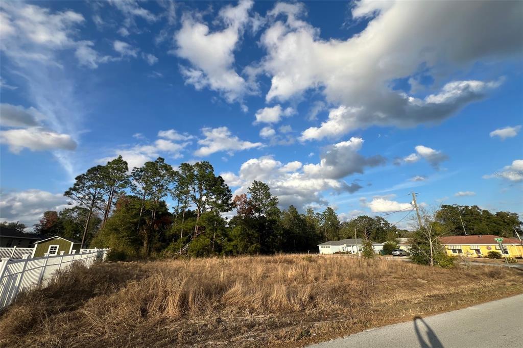 0 Southeast 159th Street Summerfield, FL 34491 - Photo 6 of 22 a view of swimming pool and mountain