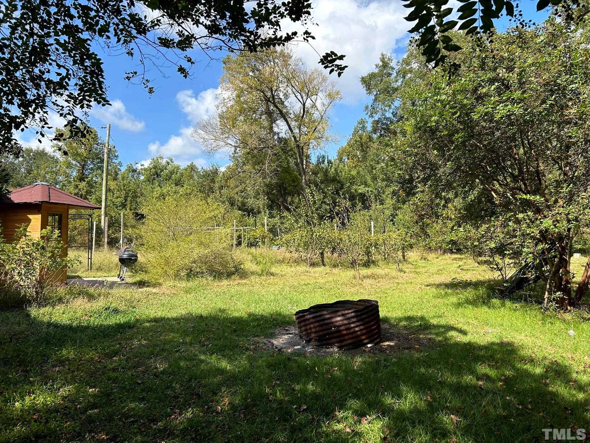 1507 Wilson Road Clinton, NC 28328 - Photo 4 of 49