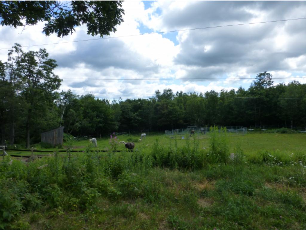 379 Old Stoddard Road Nelson, NH 03457 - Photo 12 of 36