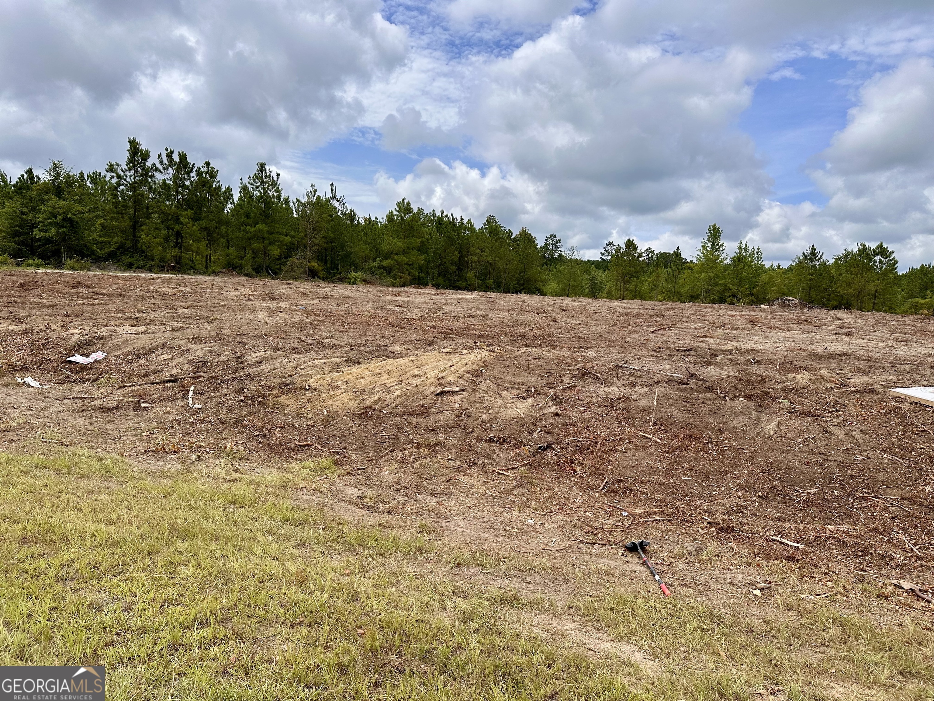 Lot A Rock Springs Road Dublin, GA 31021 - Photo 6 of 6