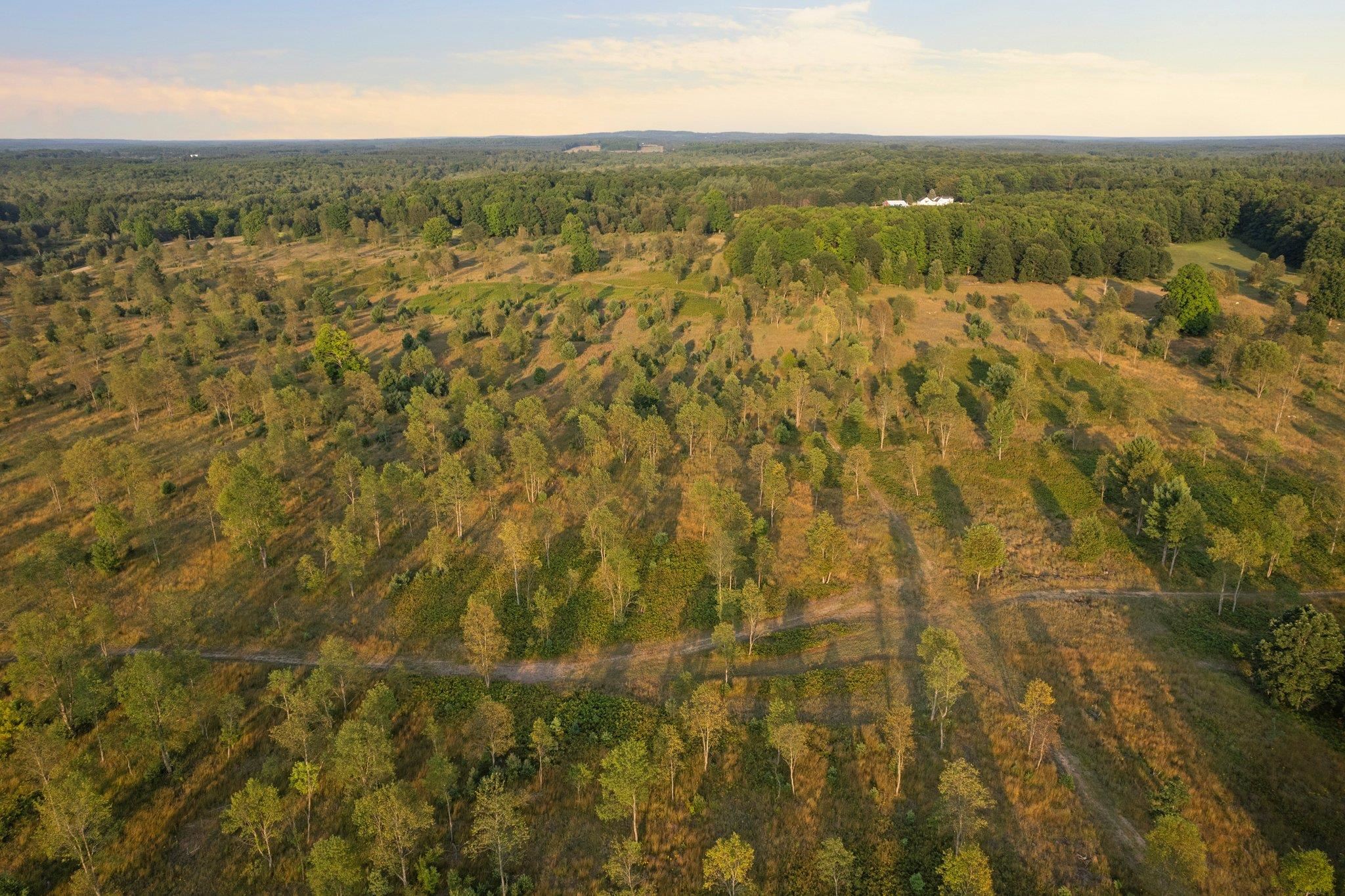 0 Inman Road Southwest Fife Lake, MI 49633 - Photo 26 of 29