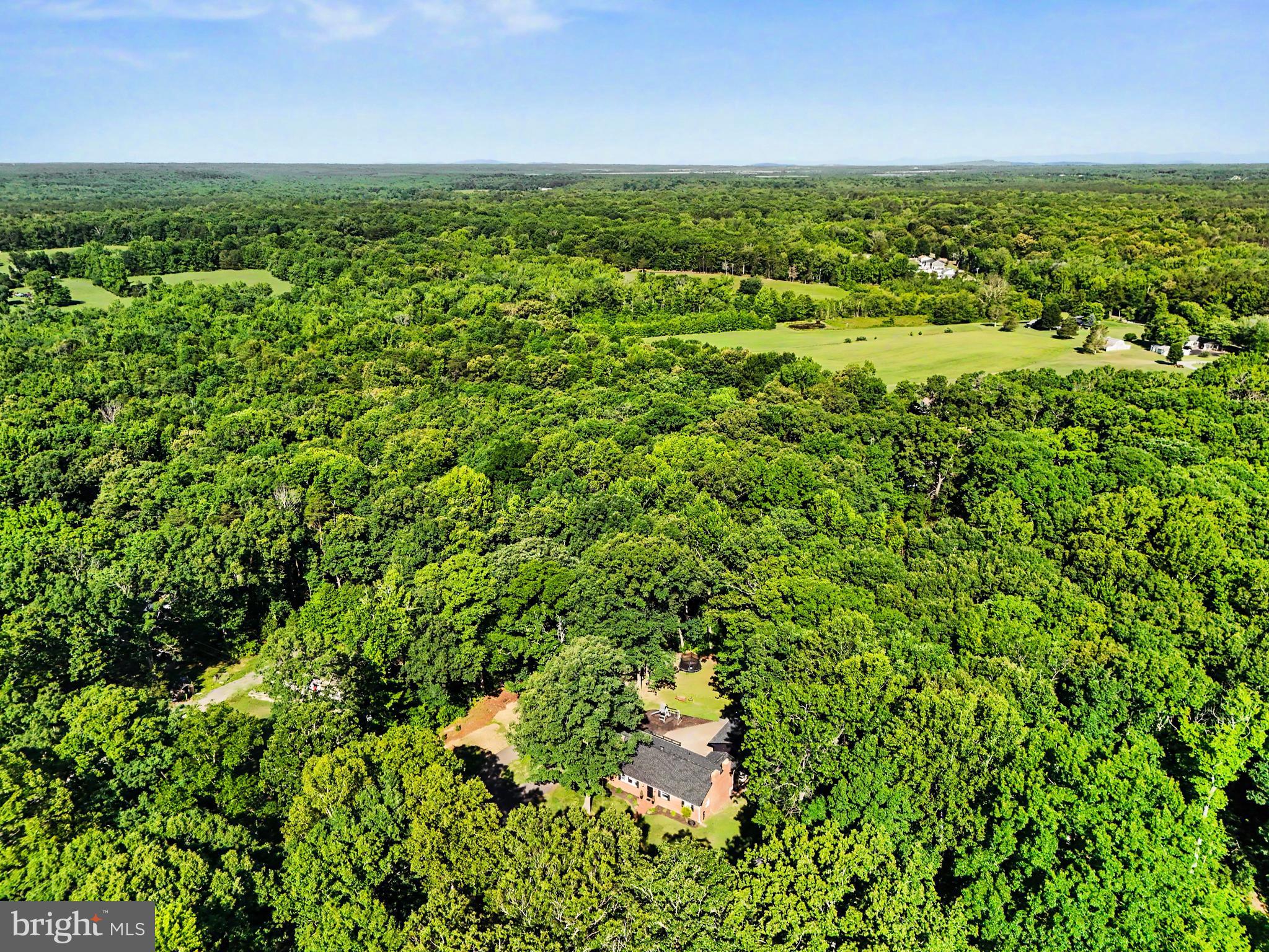 10224 Mill Pond Road Spotsylvania, VA 22551 - Photo 2 of 52 Private Wooded Lot