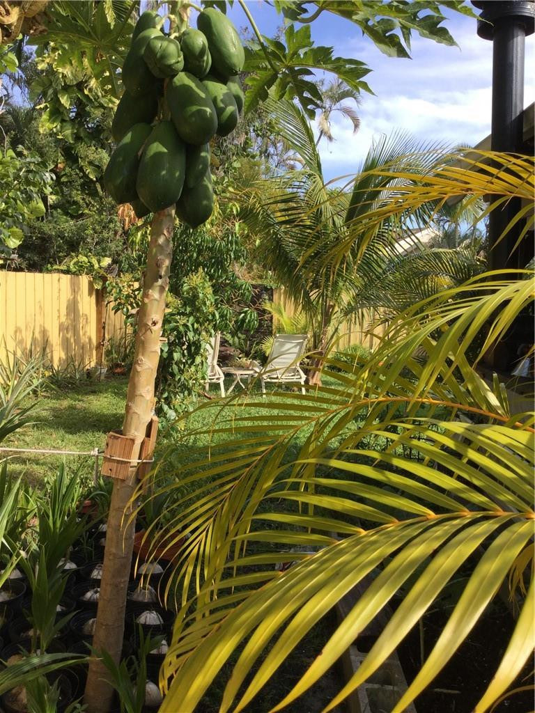 7813 Kenway Place West Boca Raton, FL 33433 - Photo 39 of 46 Photo 39