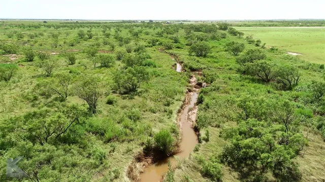 $319,900 | 8445 County Road 226, Avoca, TX 79503