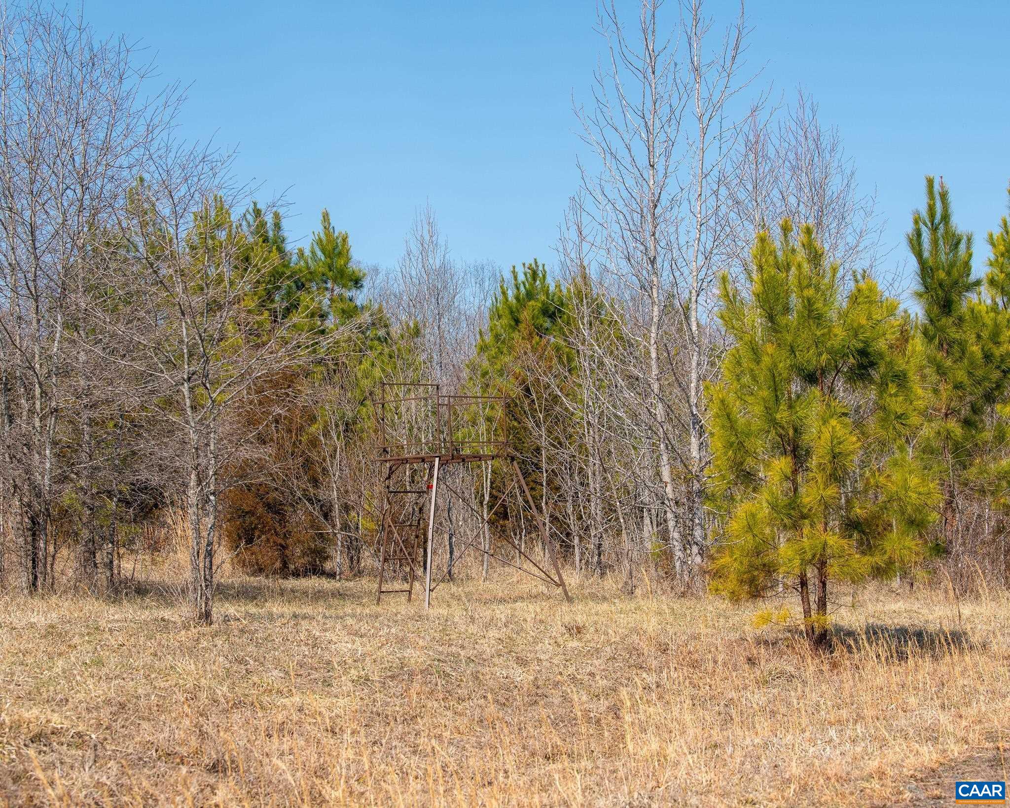 0 Central Plains Road Palmyra, VA 22963 - Photo 11 of 25