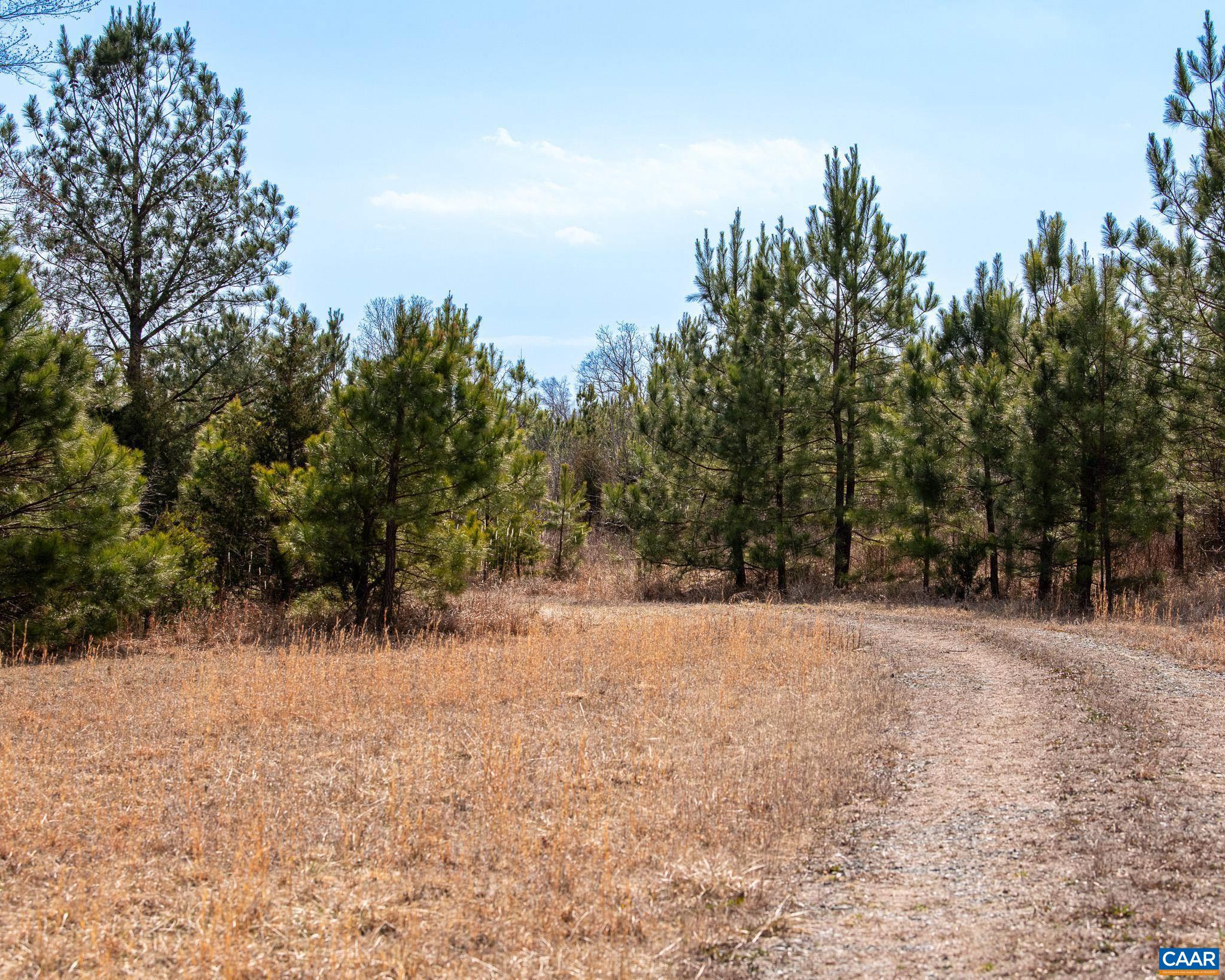 0 Central Plains Road Palmyra, VA 22963 - Photo 12 of 25