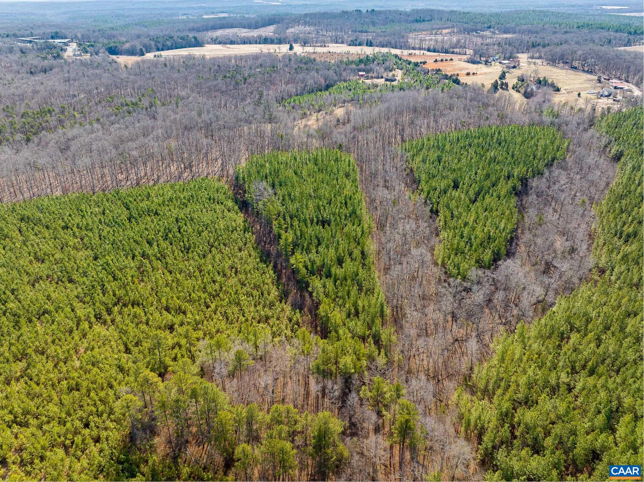 0 Central Plains Road Palmyra, VA 22963 - Photo 18 of 25