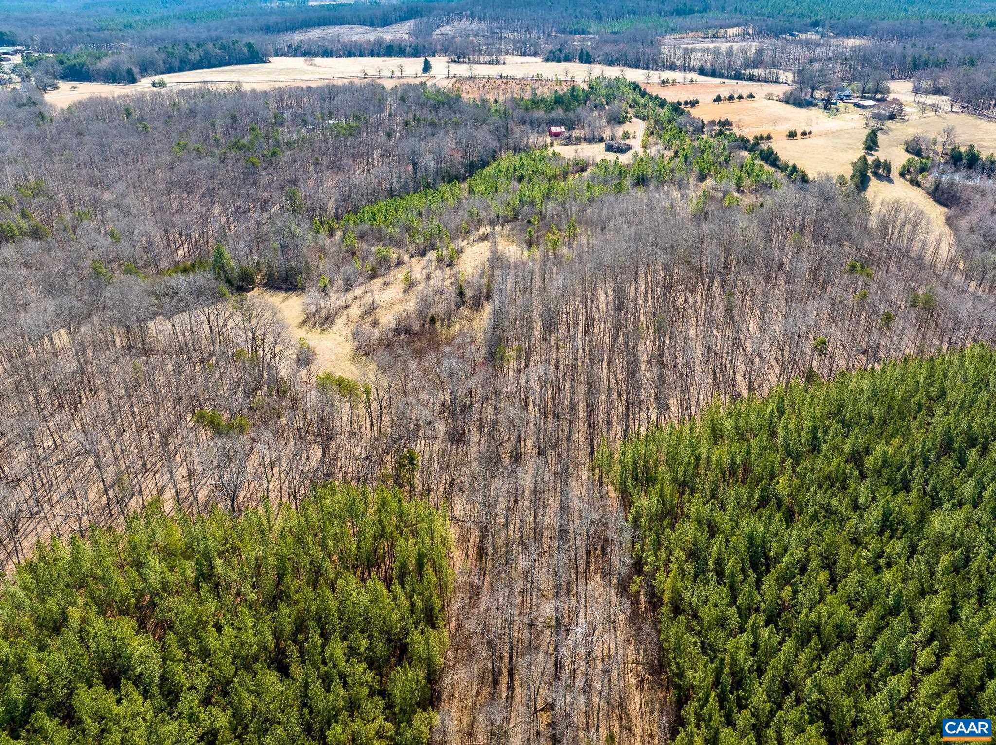 0 Central Plains Road Palmyra, VA 22963 - Photo 19 of 25