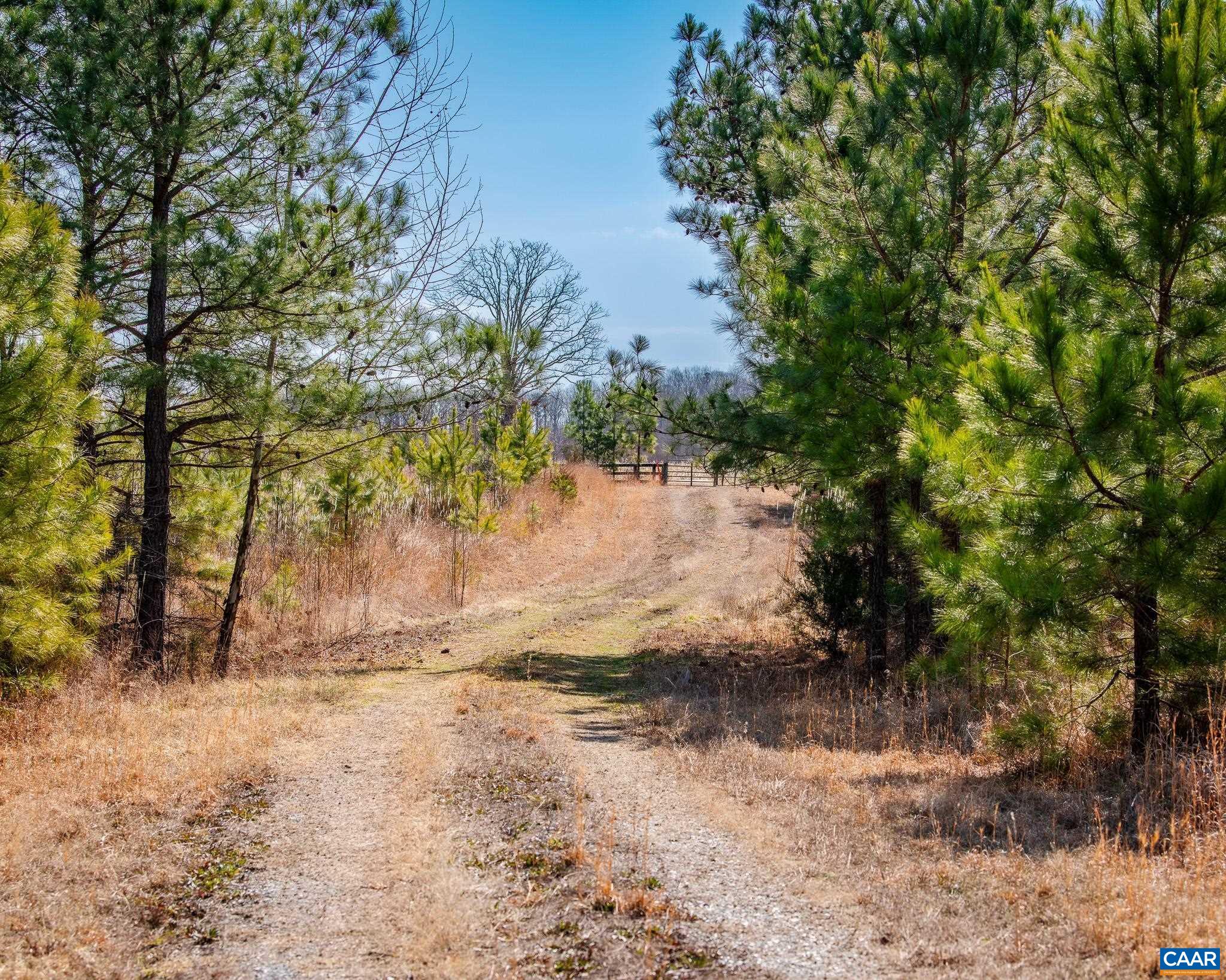 0 Central Plains Road Palmyra, VA 22963 - Photo 9 of 25