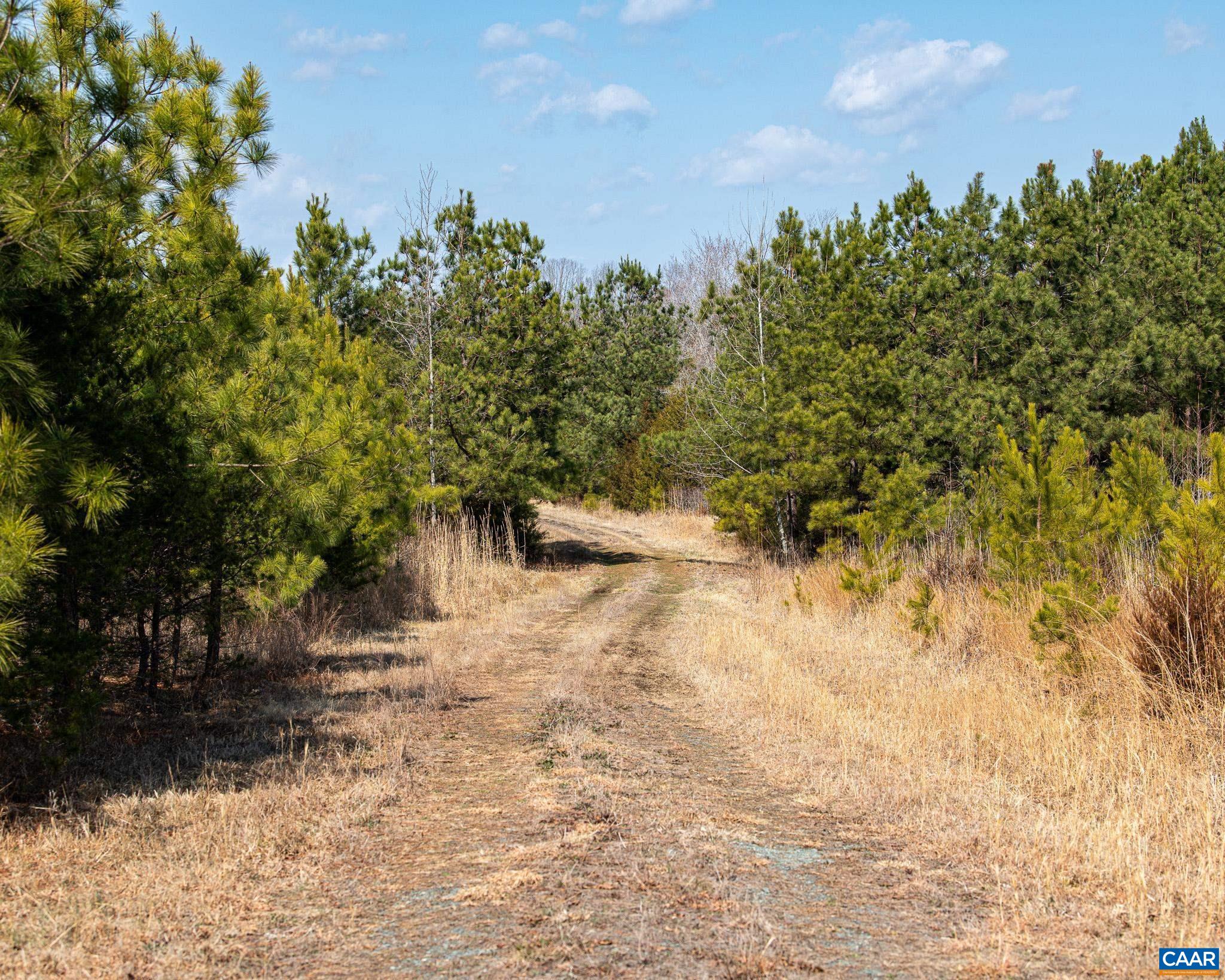 0 Central Plains Road Palmyra, VA 22963 - Photo 10 of 25
