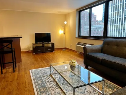$3,500 | 1221 North Dearborn Street, Unit 804S, Chicago, IL 60610